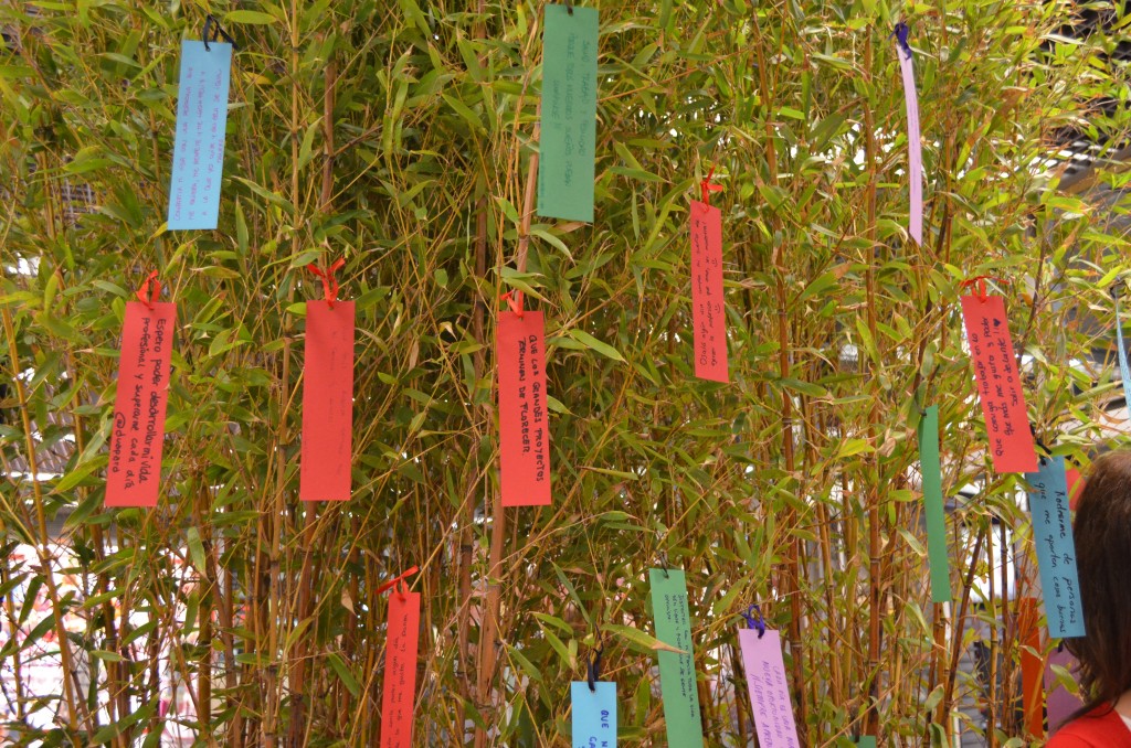 arbol de los deseos llena tu vida de color